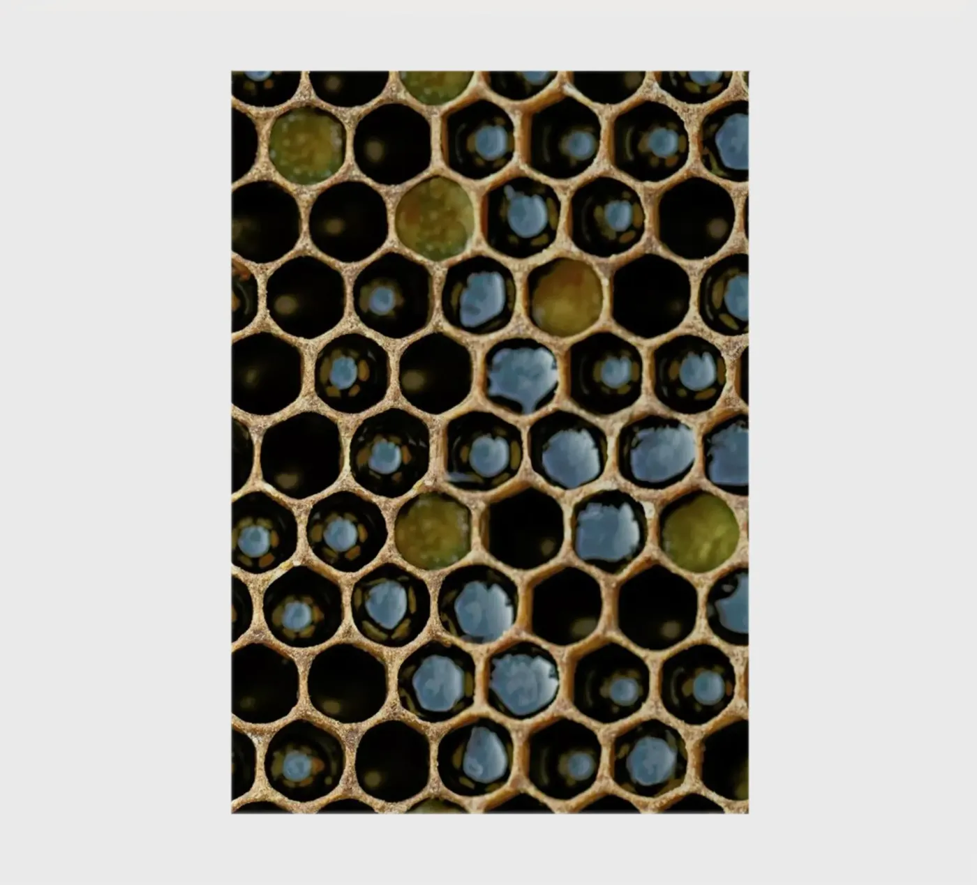 Bee Pattern notebook by Curious Collections by Marielle Leenders