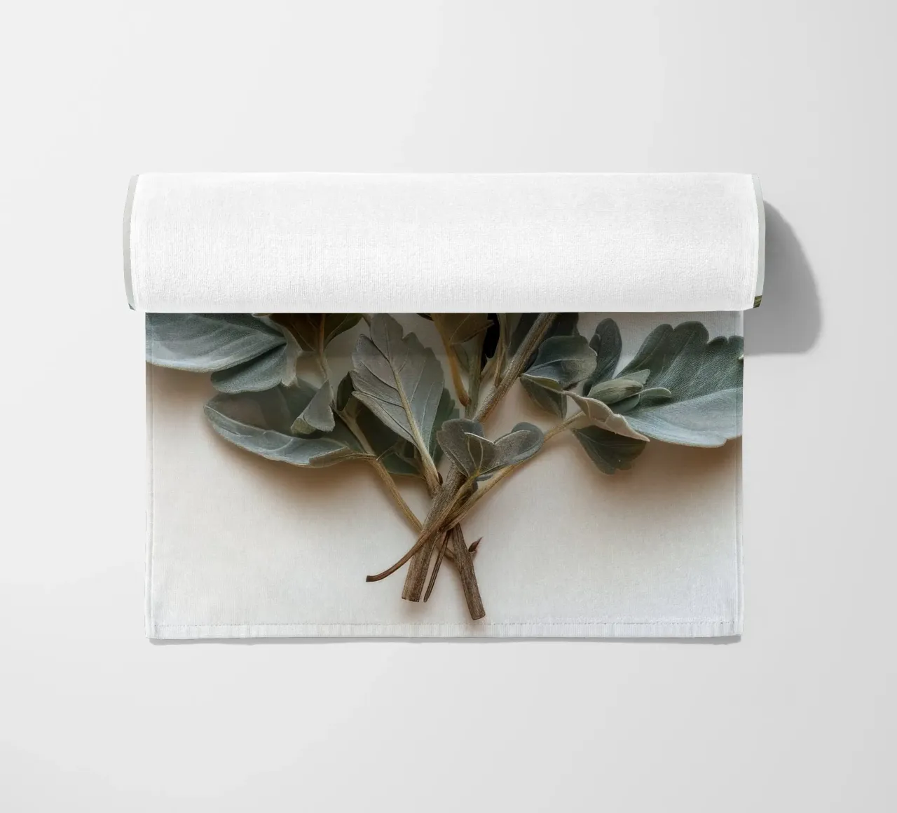 Fiore Dusty Miller 4 telo mare da Bold Blooms