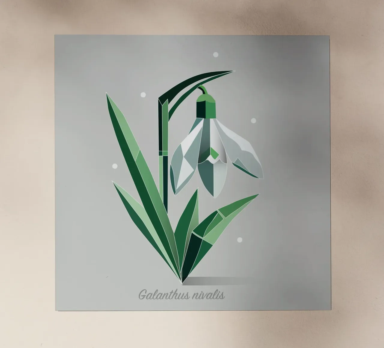 Snowdrops - Elegante representación de las flores tempranas lámina retroiluminada de namosh