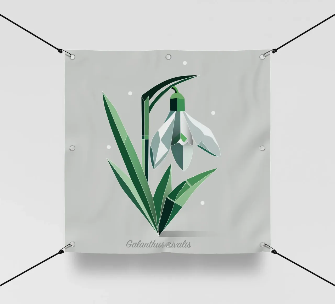 Bucaneve - Elegante rappresentazione della fioritura precoce telo in pvc da namosh