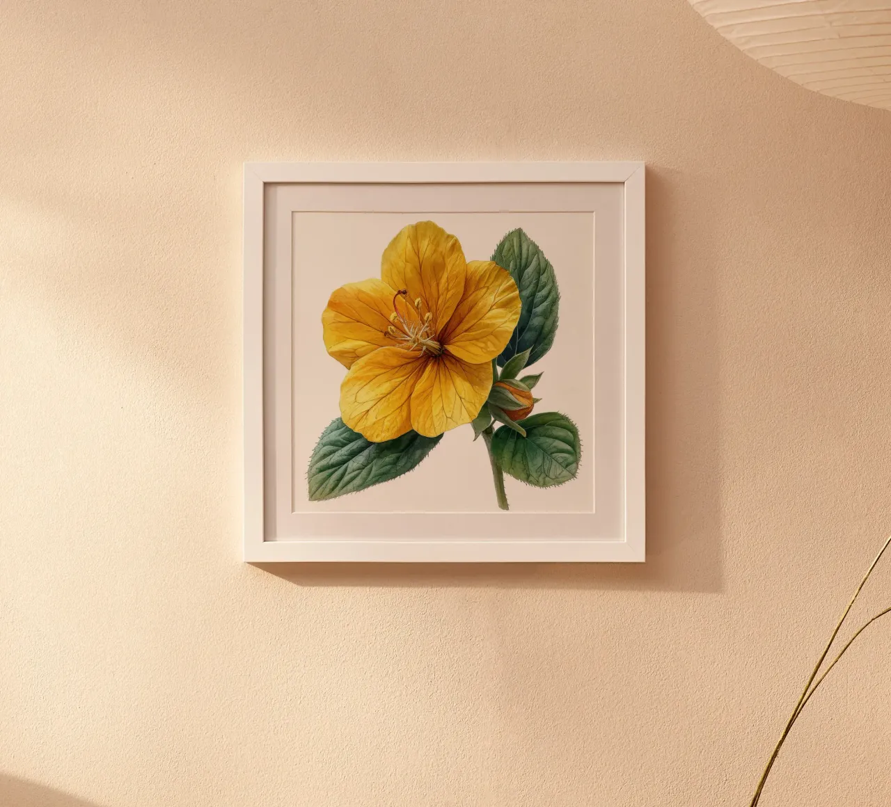 Fiore di enotera 1 poster da Bold Blooms