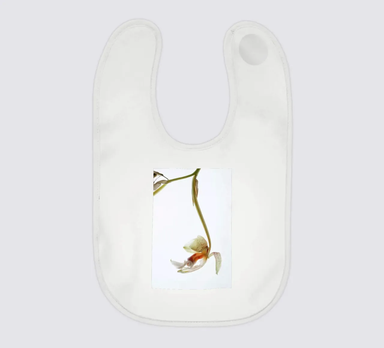 Arch Angle 1 Babylätzchen von Shot By Clint