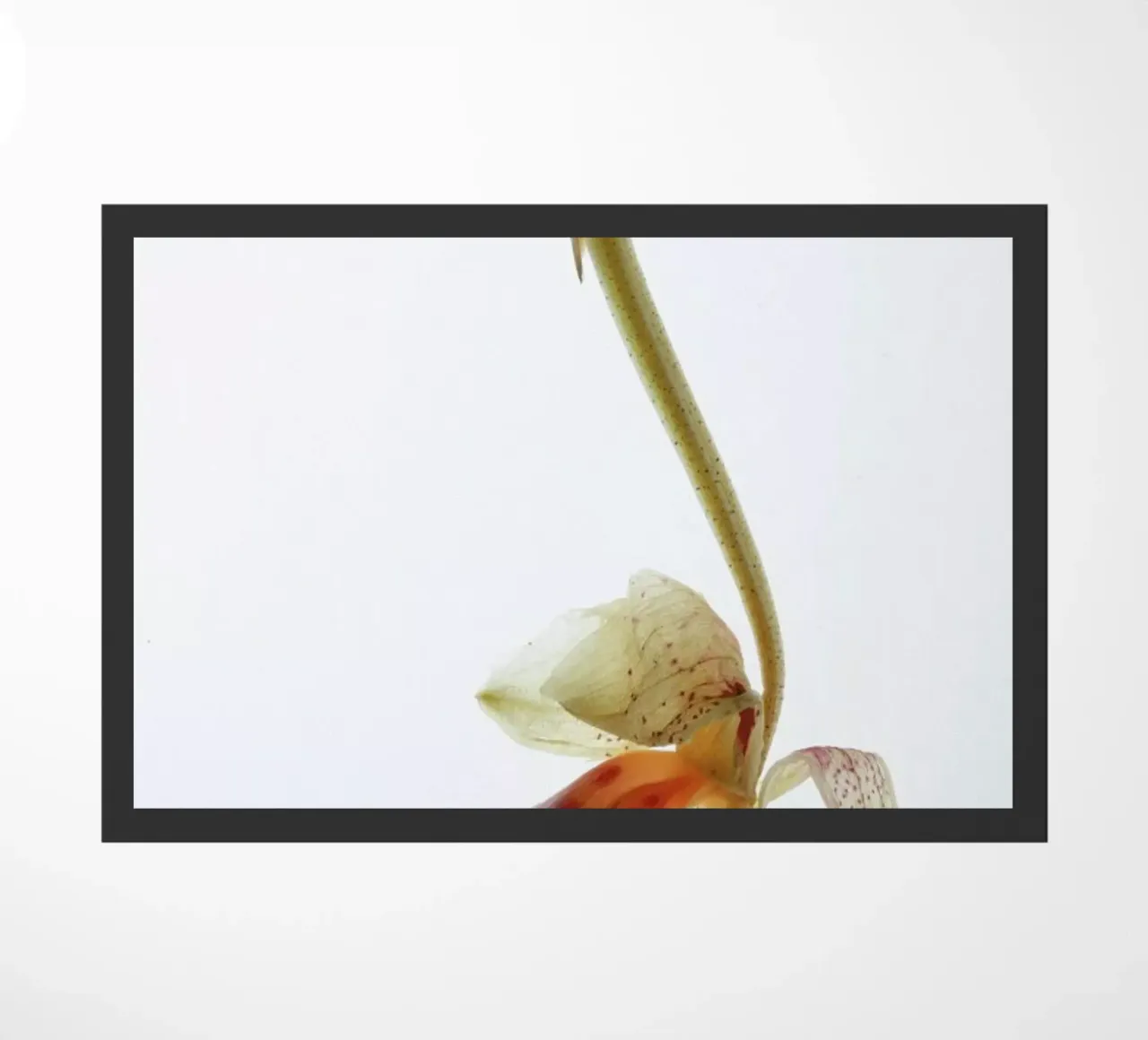 Arch Angle 1 deurmat van Shot By Clint