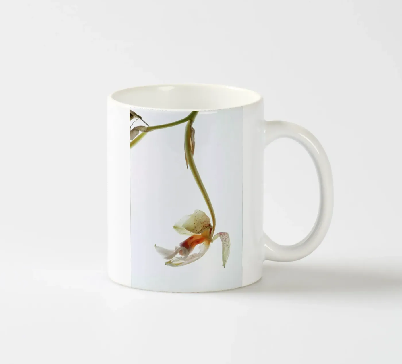Arch Angle 1 ceramic mug by Shot By Clint
