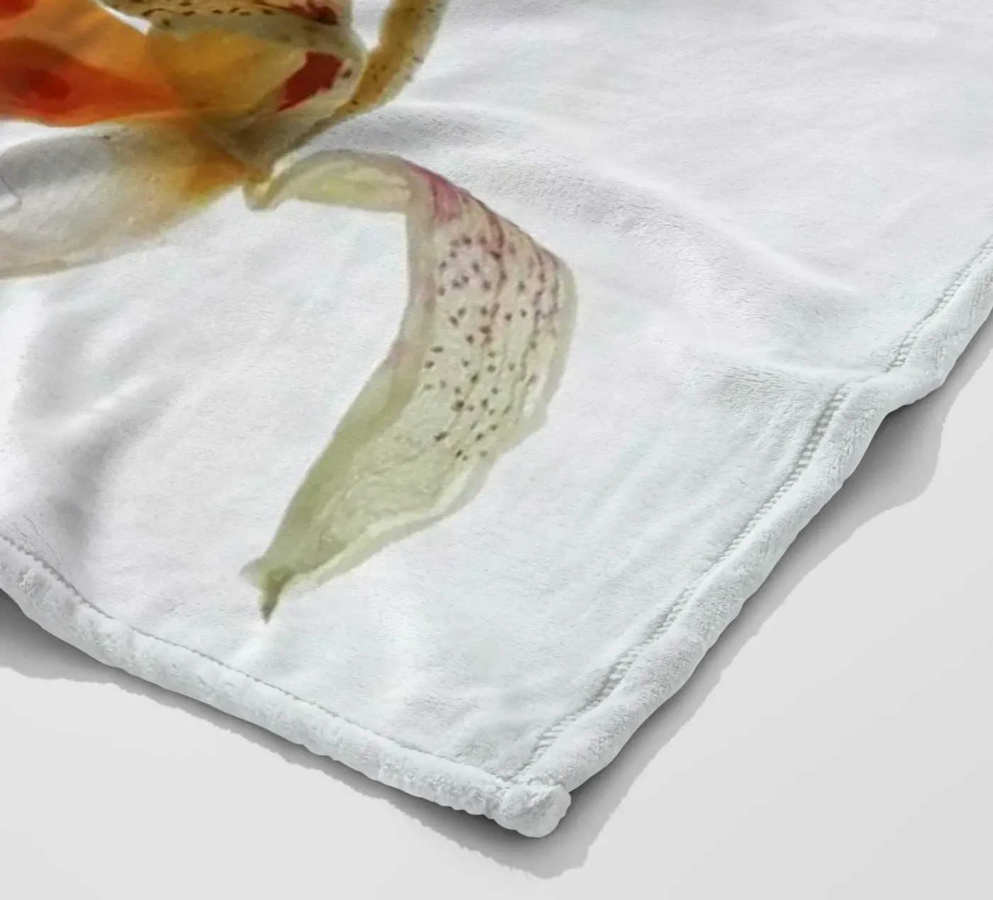 Arch Angle 1 fleece blanket by Shot By Clint
