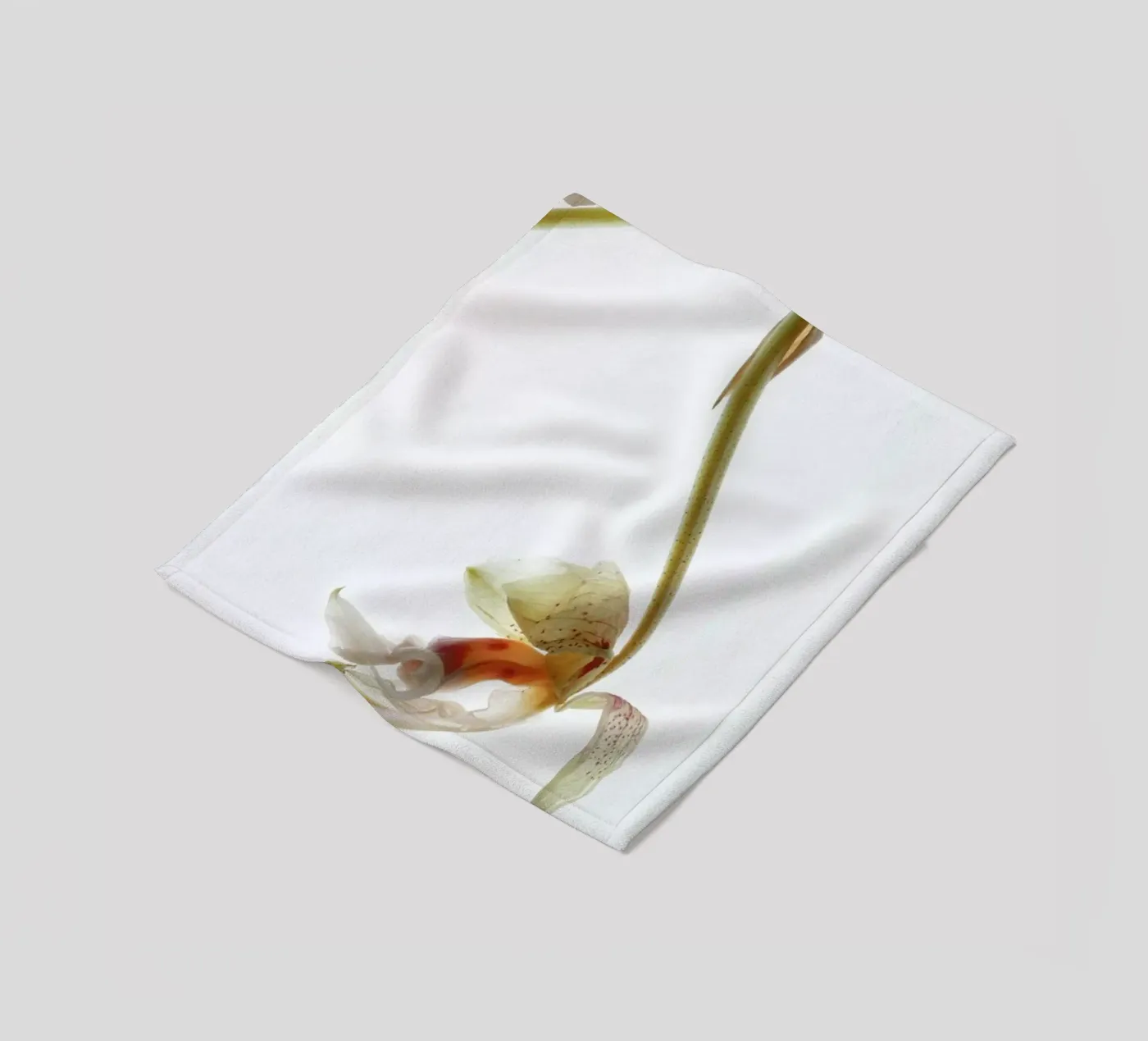 Arch Angle 1 fleece blanket by Shot By Clint