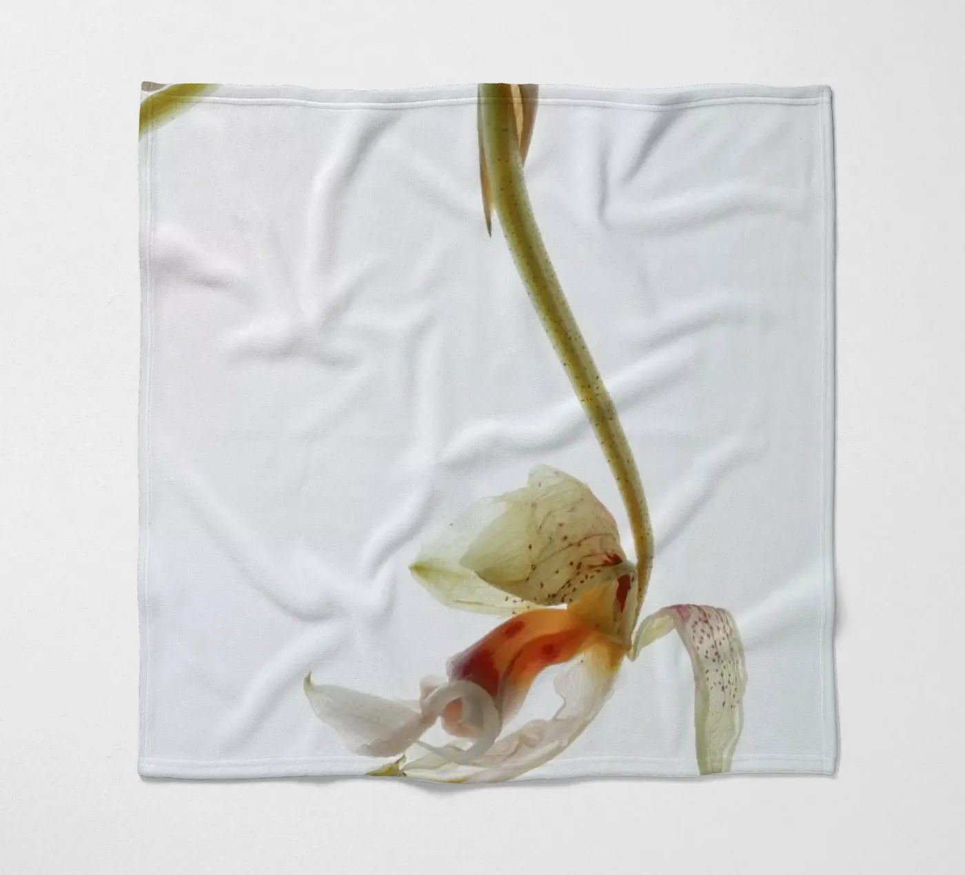 Arch Angle 1 fleece blanket by Shot By Clint