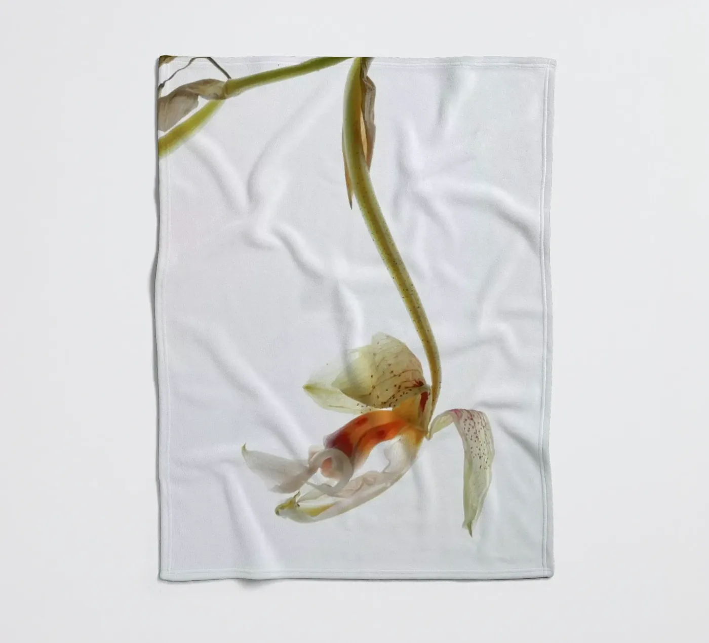 Arch Angle 1 fleece blanket by Shot By Clint