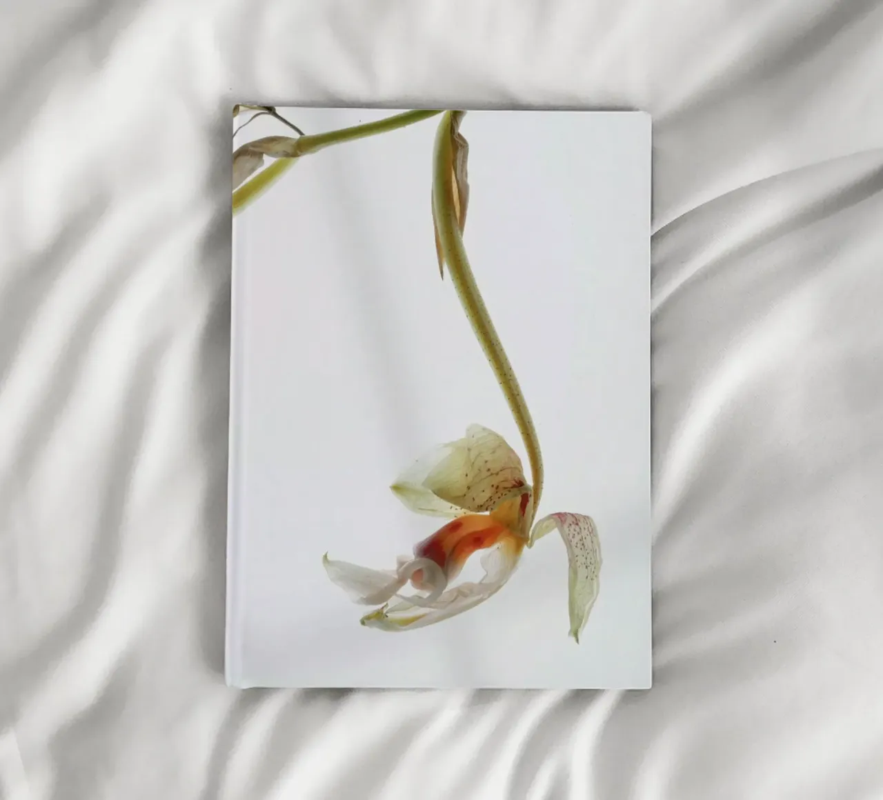 Arch Angle 1 notebook by Shot By Clint