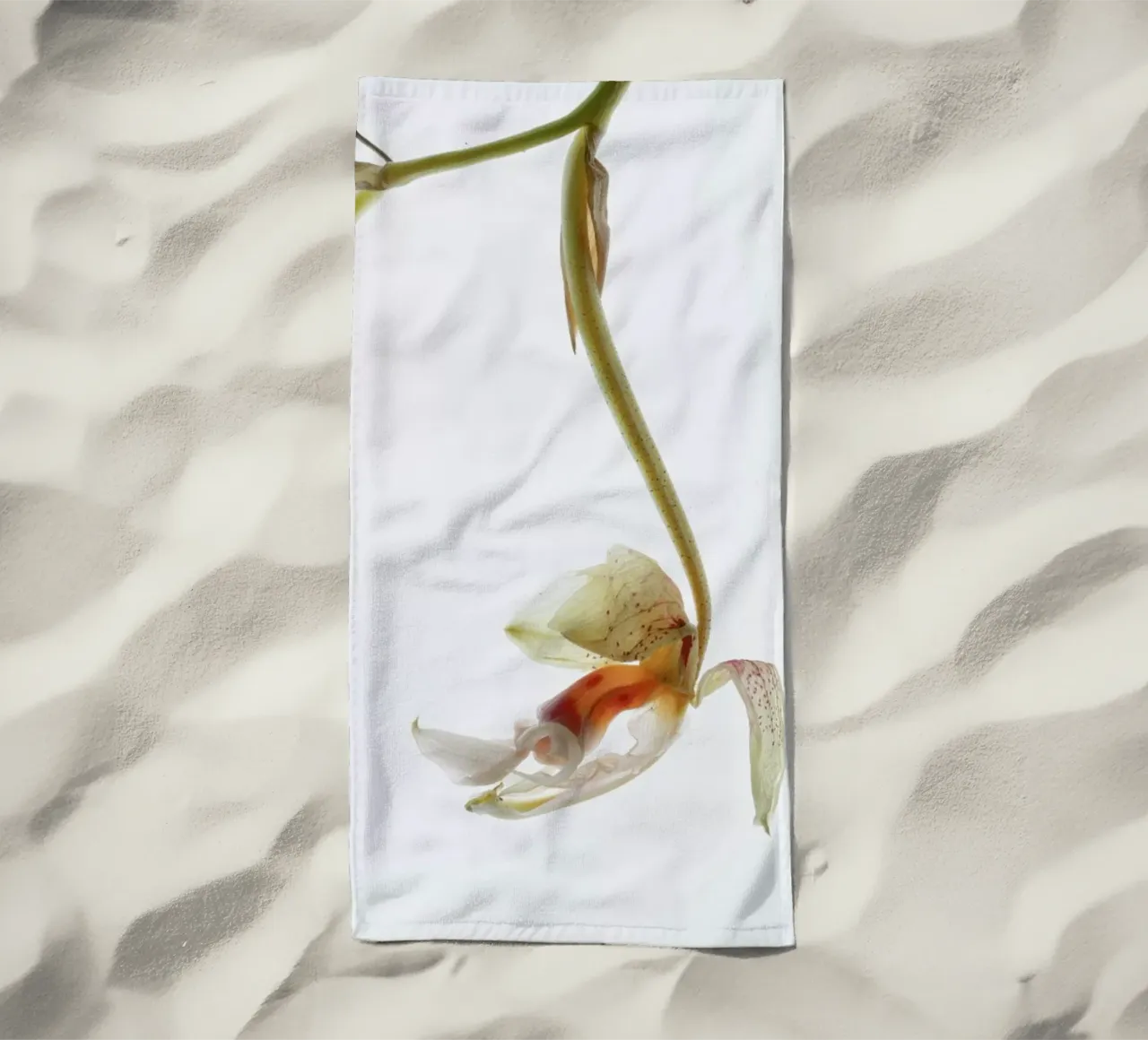 Arch Angle 1 telo mare da Shot By Clint