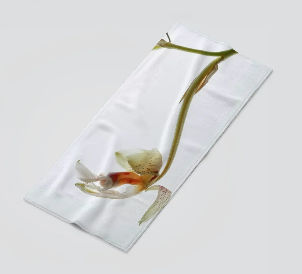 Arch Angle 1 telo mare da Shot By Clint