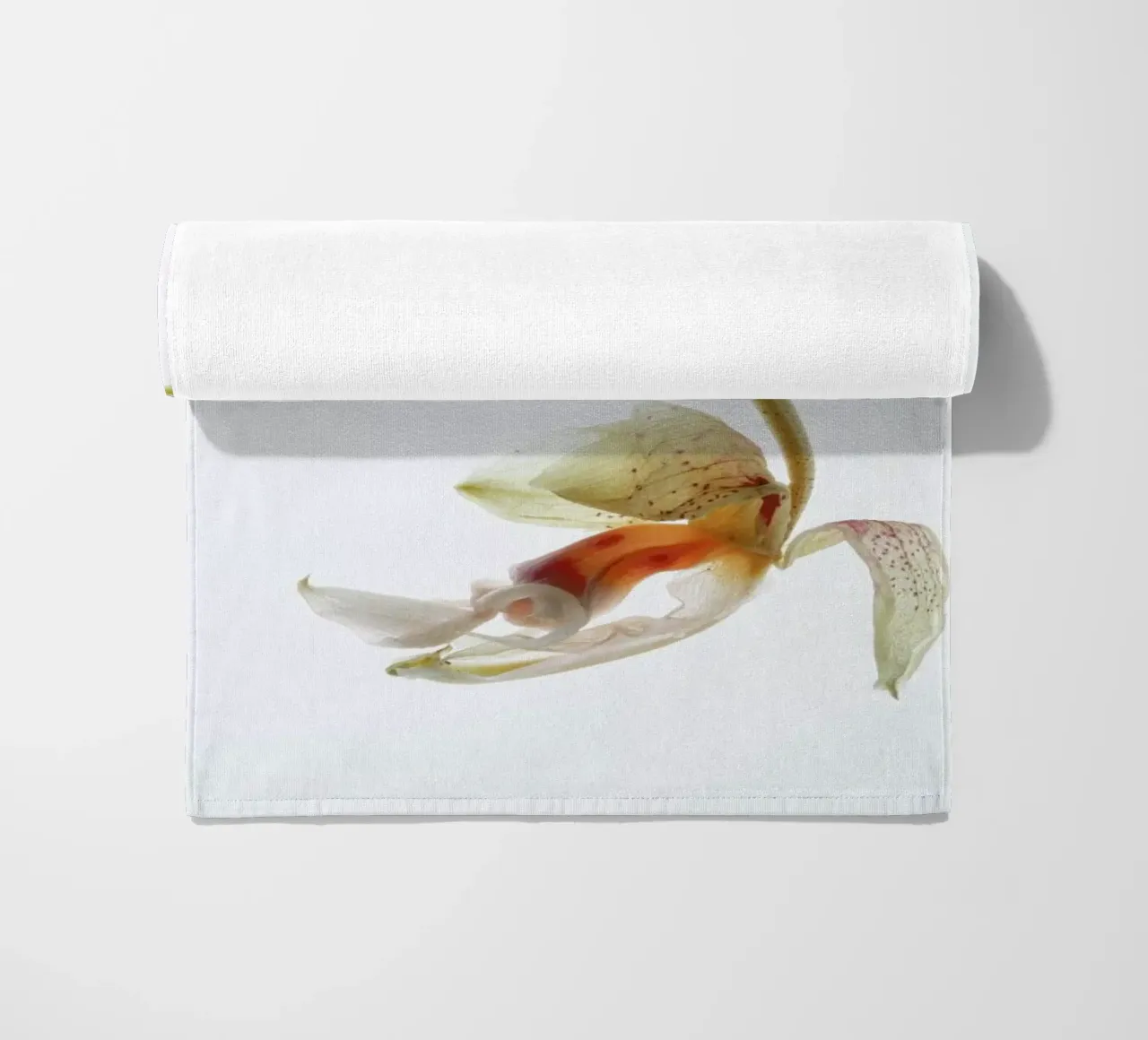 Arch Angle 1 telo mare da Shot By Clint