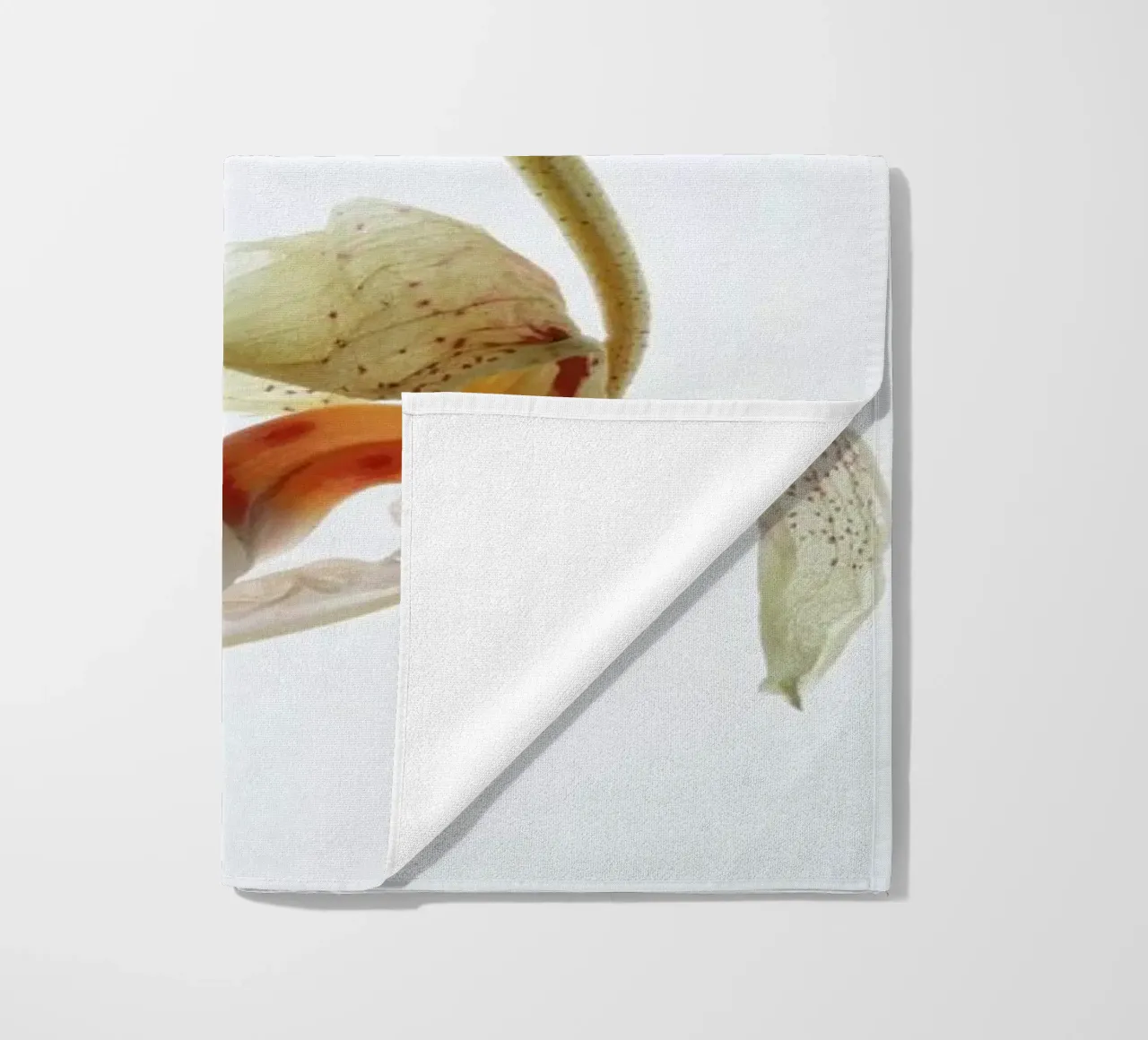 Arch Angle 1 telo mare da Shot By Clint