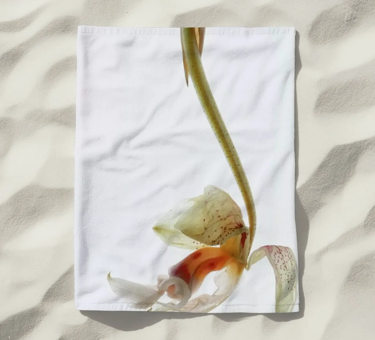 Arch Angle 1 telo mare da Shot By Clint