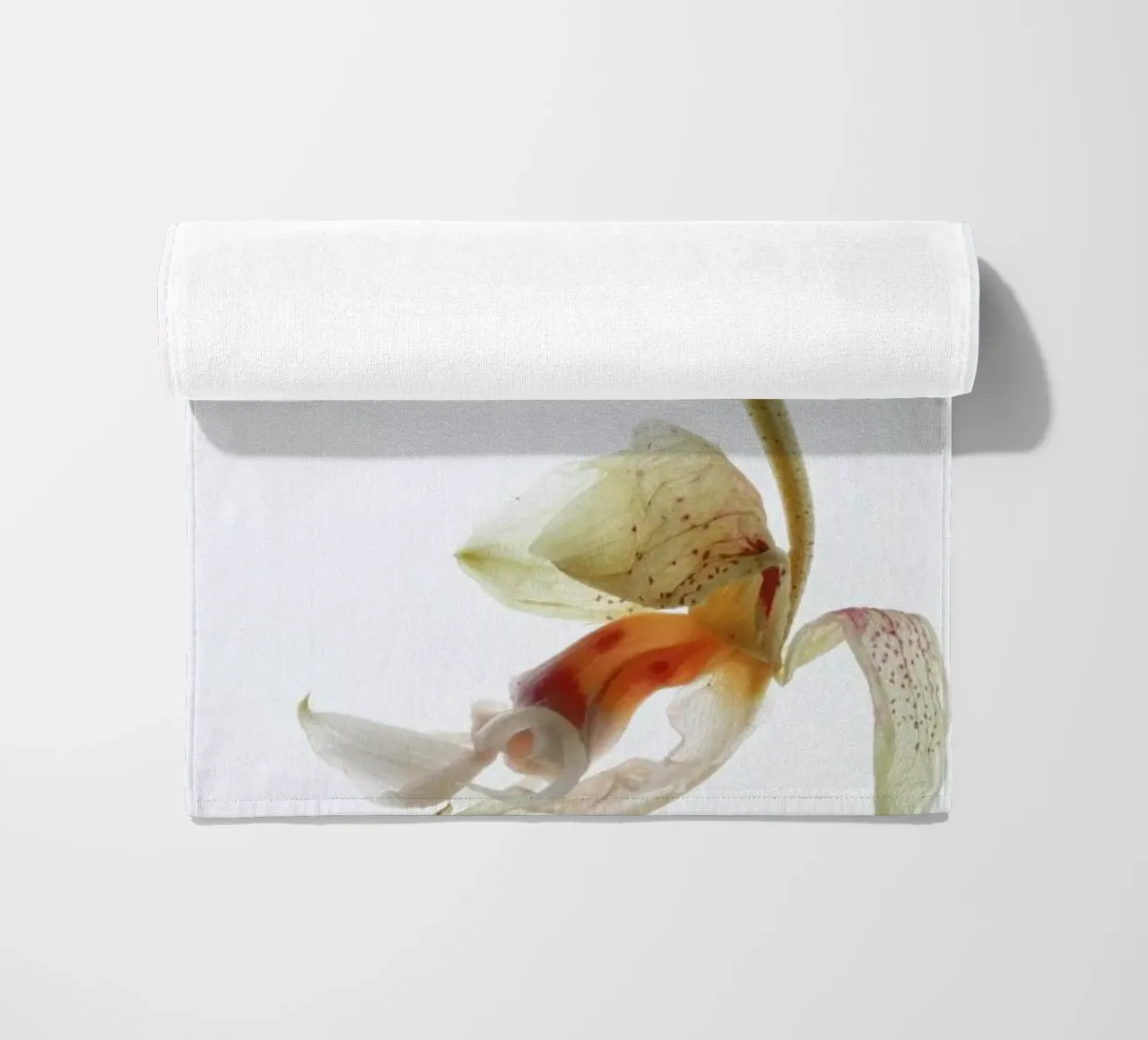 Arch Angle 1 telo mare da Shot By Clint