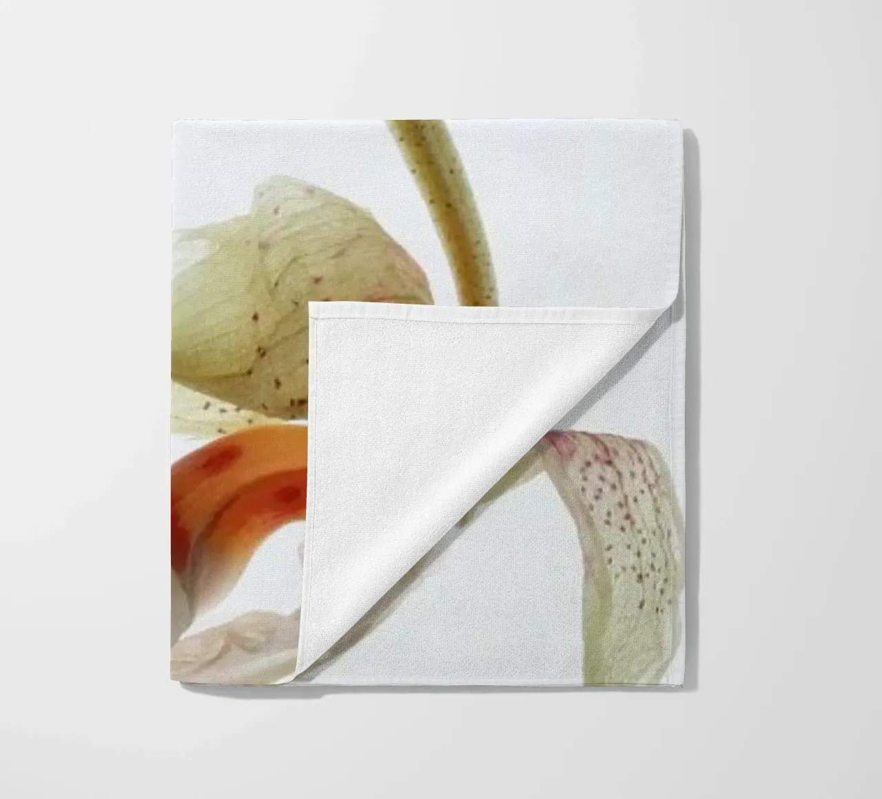 Arch Angle 1 telo mare da Shot By Clint