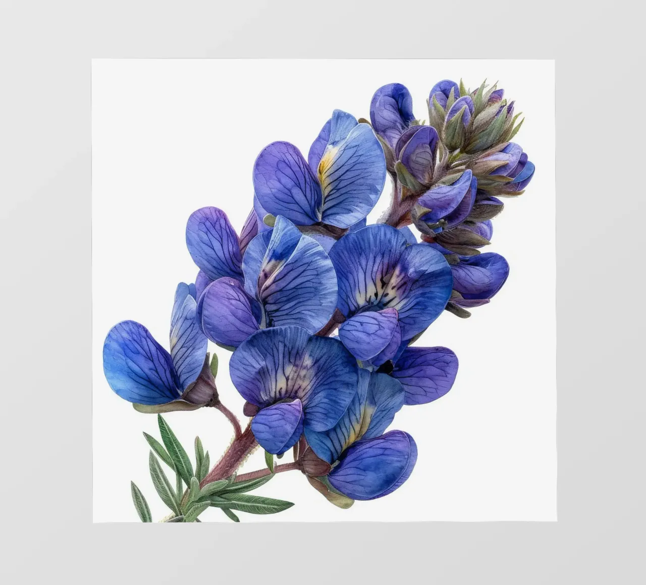 Falso fiore indaco 1 telo in pvc da Bold Blooms
