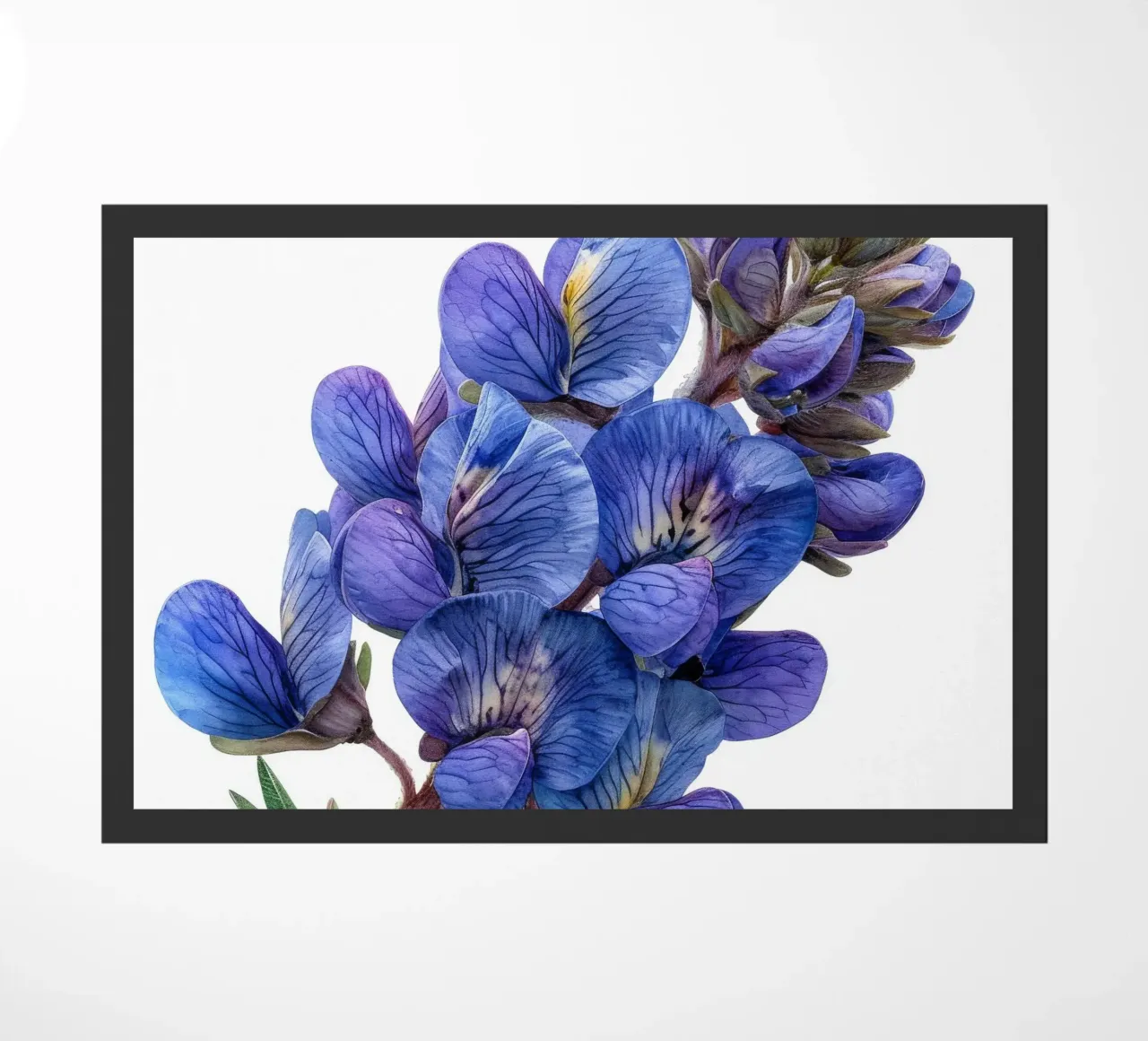 Falso fiore indaco 1 zerbino da Bold Blooms