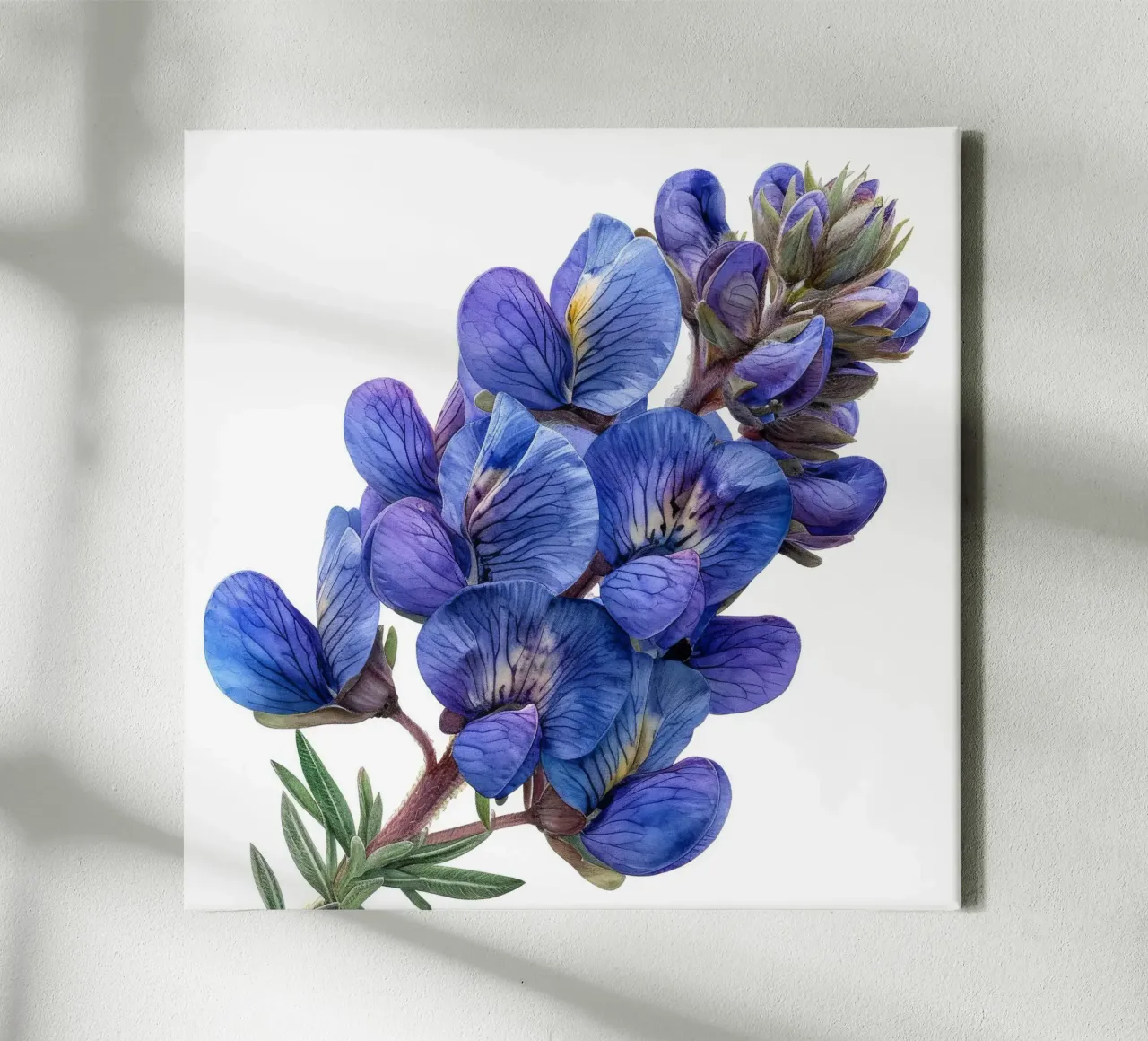 Falso fiore indaco 1 tela con Cornice a cassetta da Bold Blooms