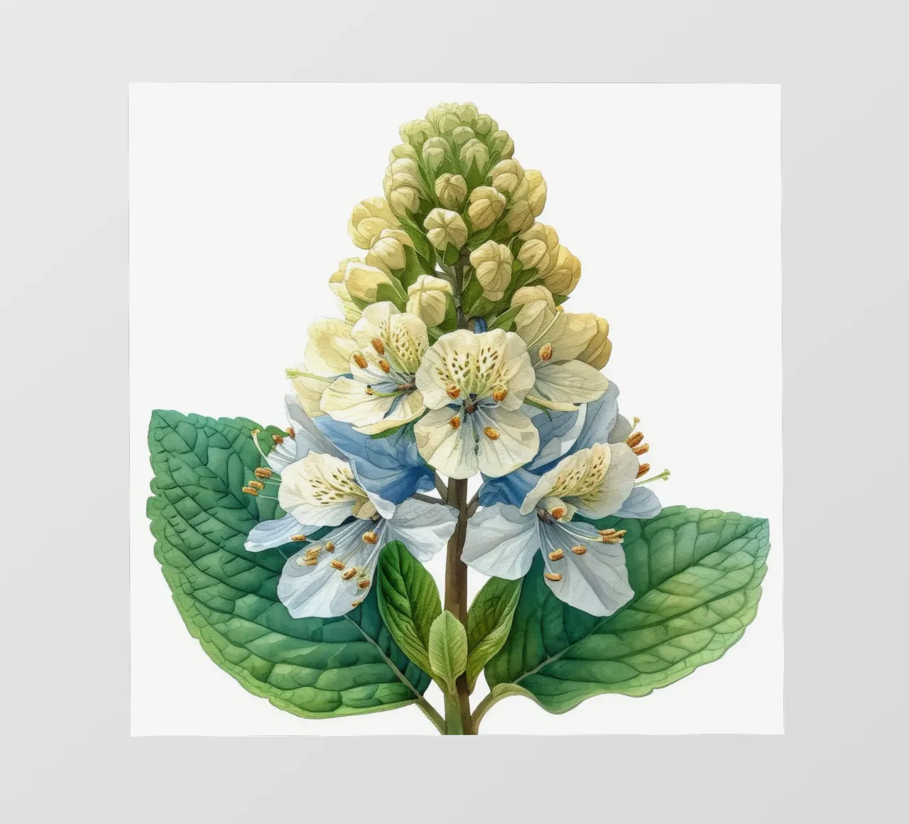 Fiore di schiuma 3 telo in pvc da Bold Blooms