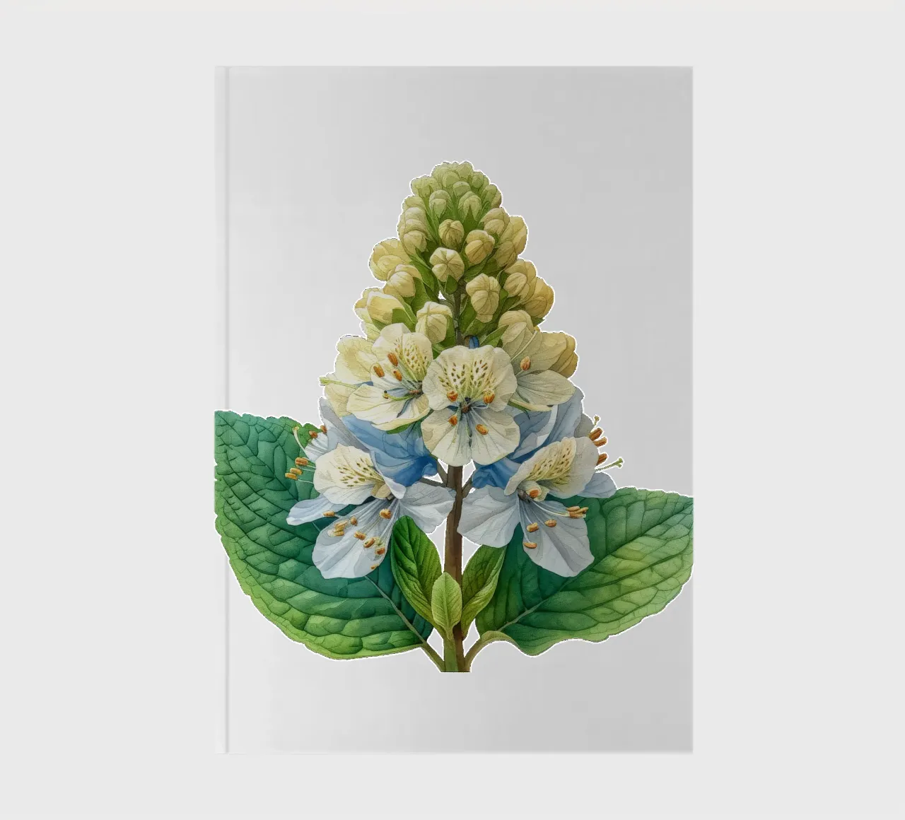 Foamflower 3 notebook by Bold Blooms
