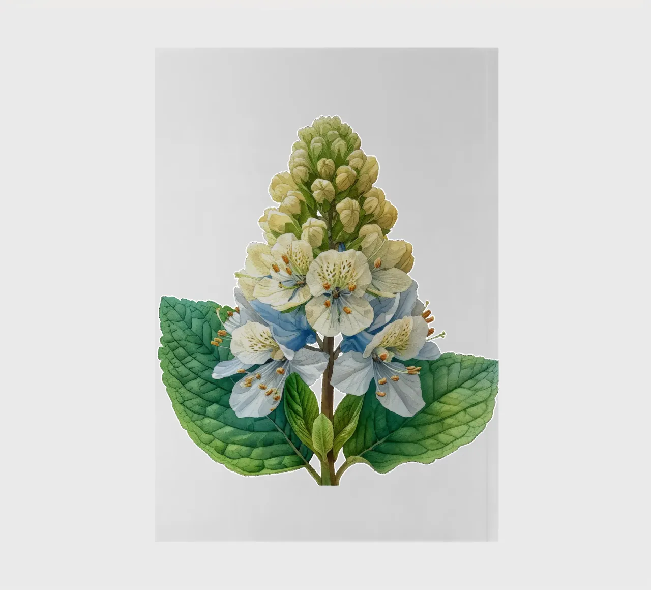 Foamflower 3 notebook by Bold Blooms