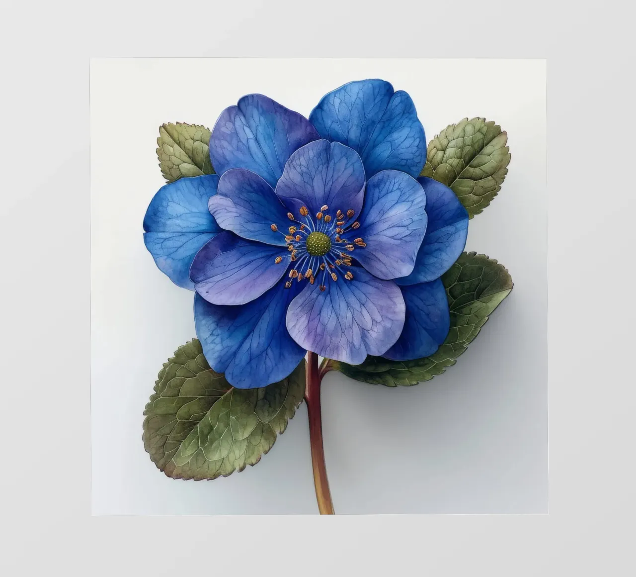 Fiore Forget Me Not 2 pellicola backlit da Bold Blooms