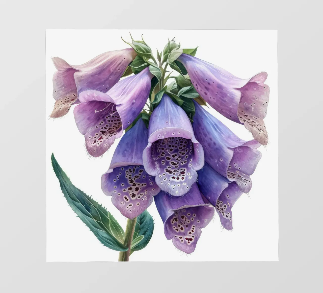 Fiore di volpe 1 telo in pvc da Bold Blooms
