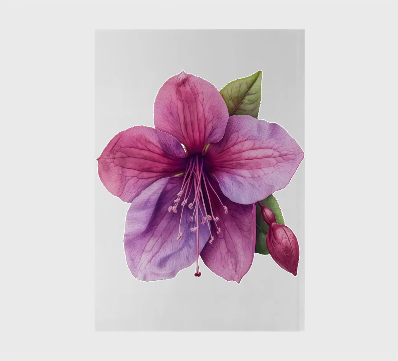 Fuchsia Flower 4 notebook by Bold Blooms