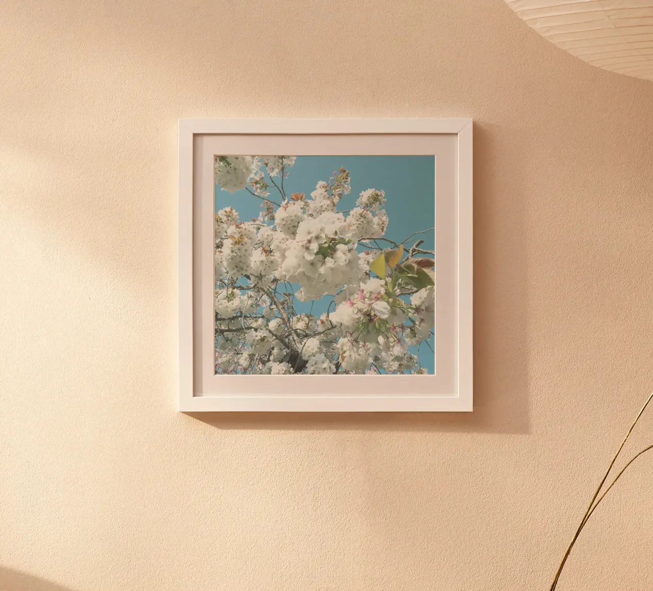 Fiori di primavera carta hahnemühle da Cassia Beck Photography
