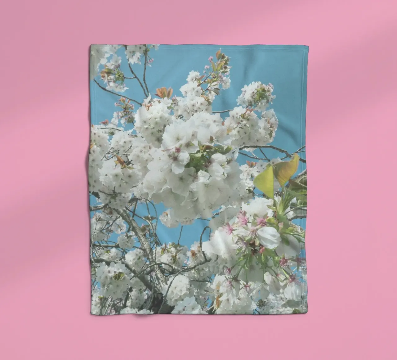Fiori di primavera coperta in pile da Cassia Beck Photography