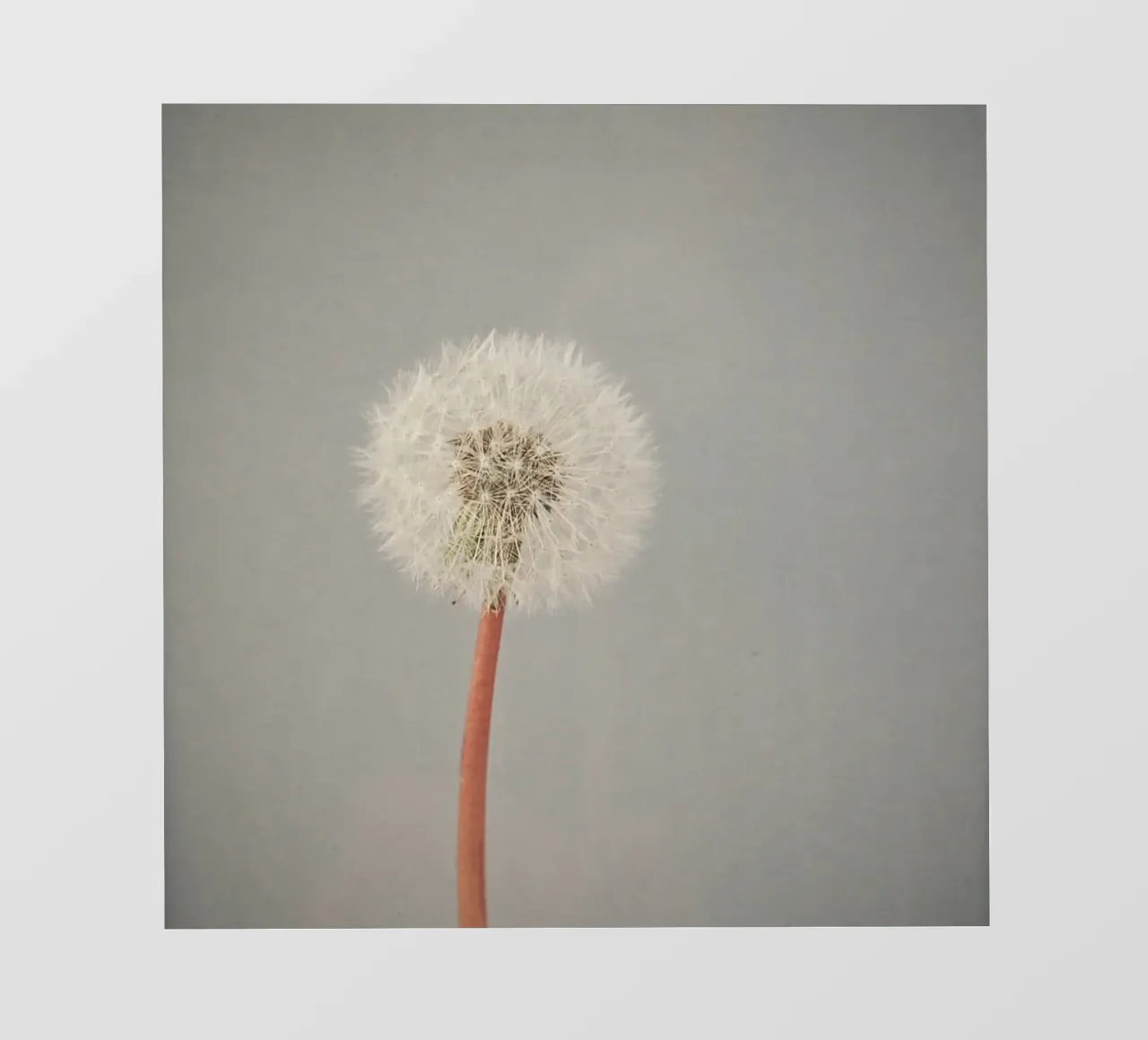 Il tempo che passa telo in pvc da Cassia Beck Photography