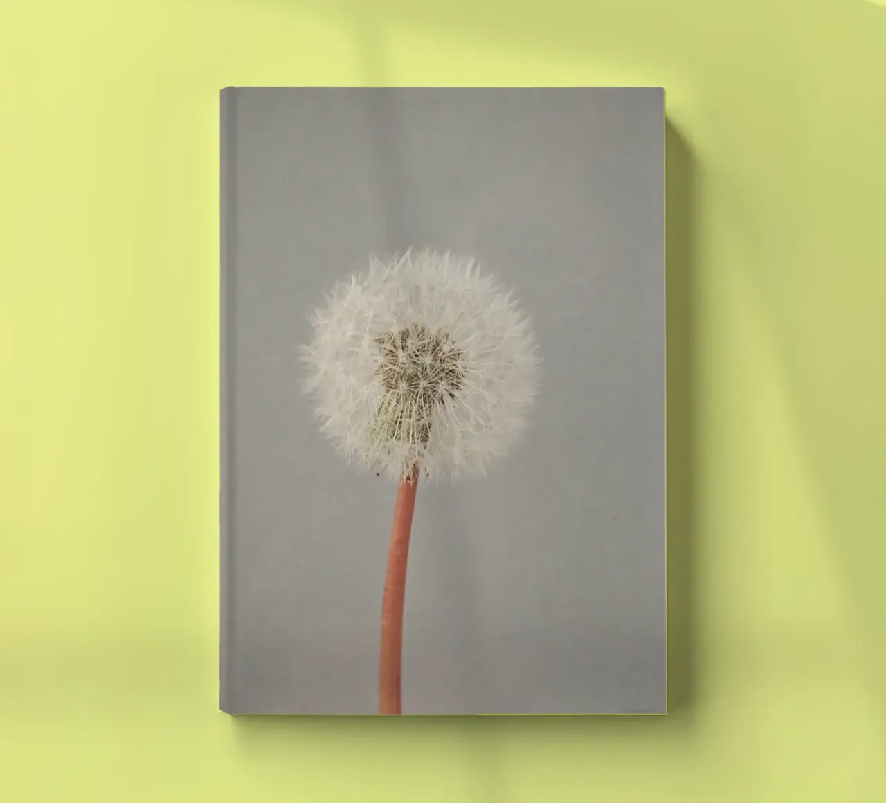 The Passing of Time notebook by Cassia Beck Photography