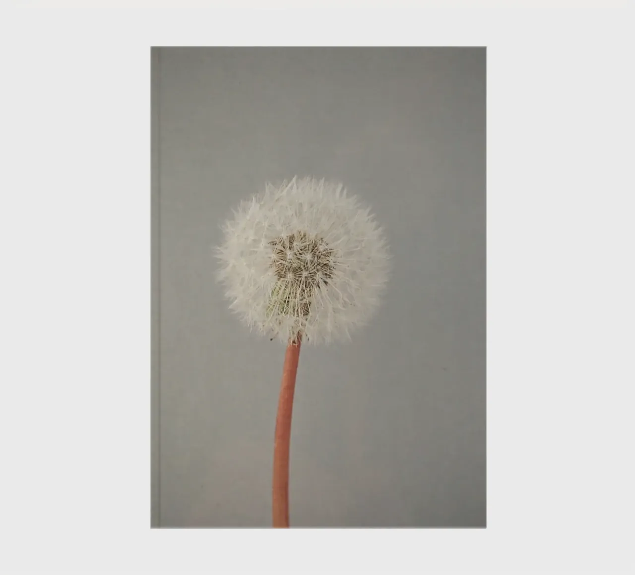 The Passing of Time notebook by Cassia Beck Photography