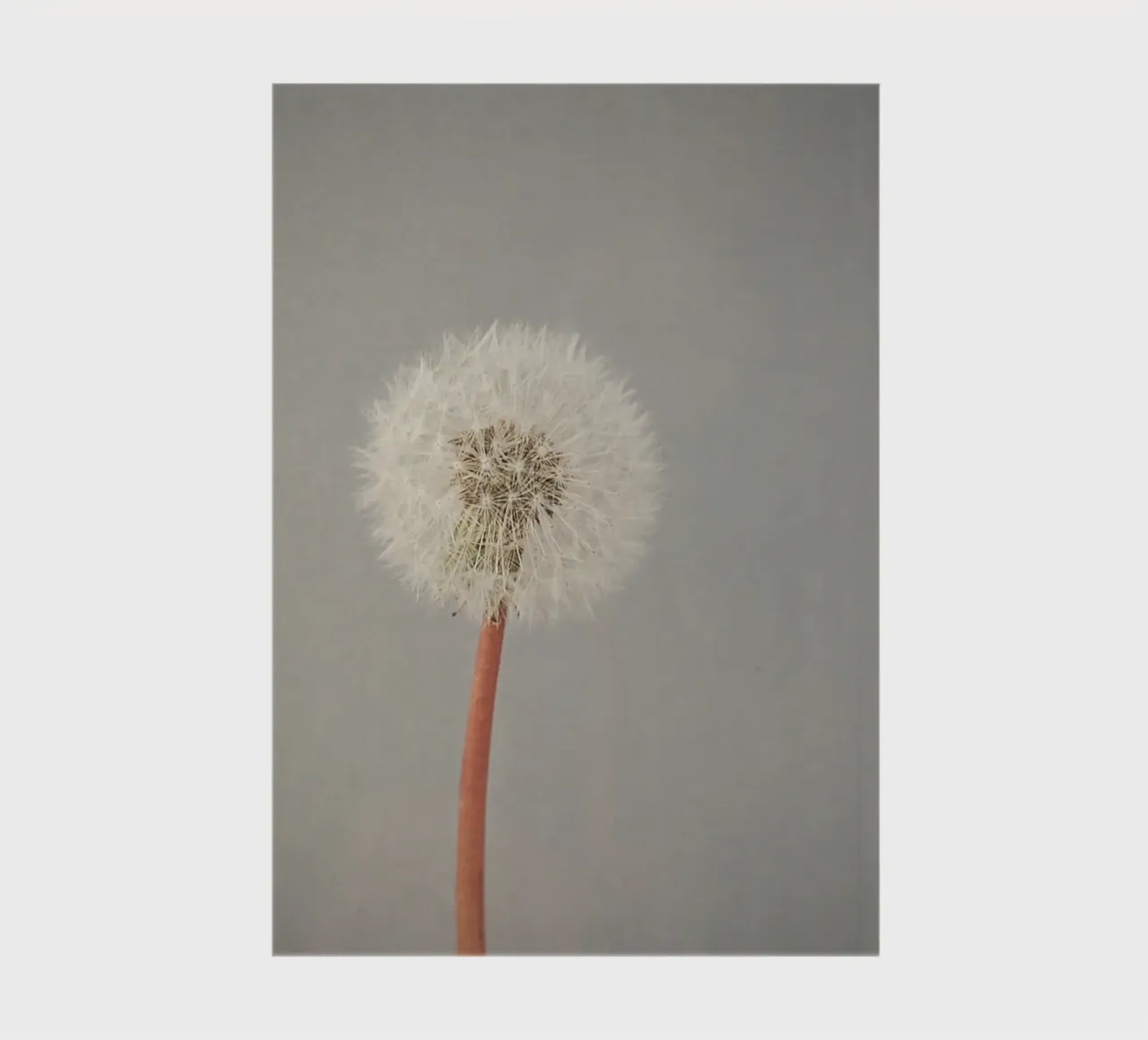 The Passing of Time notebook by Cassia Beck Photography
