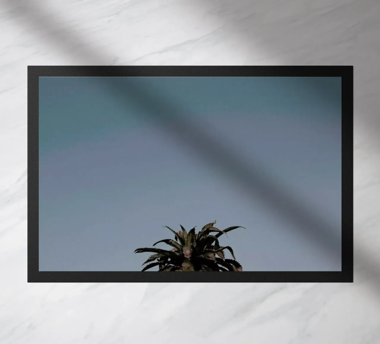 Perennial Comosus zerbino da Ballack Art House
