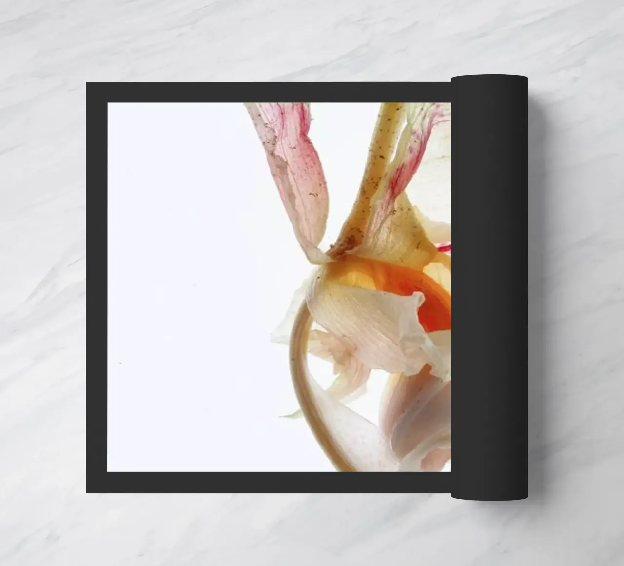 Arch Angle 2 zerbino da Shot By Clint