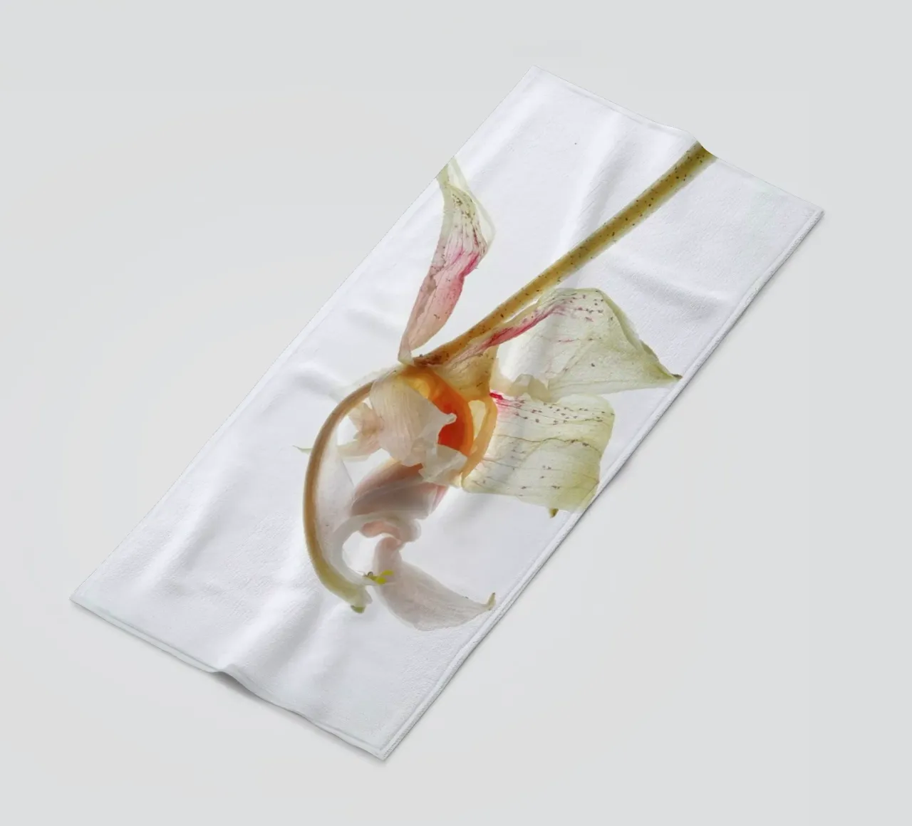 Arch Angle 2 telo mare da Shot By Clint