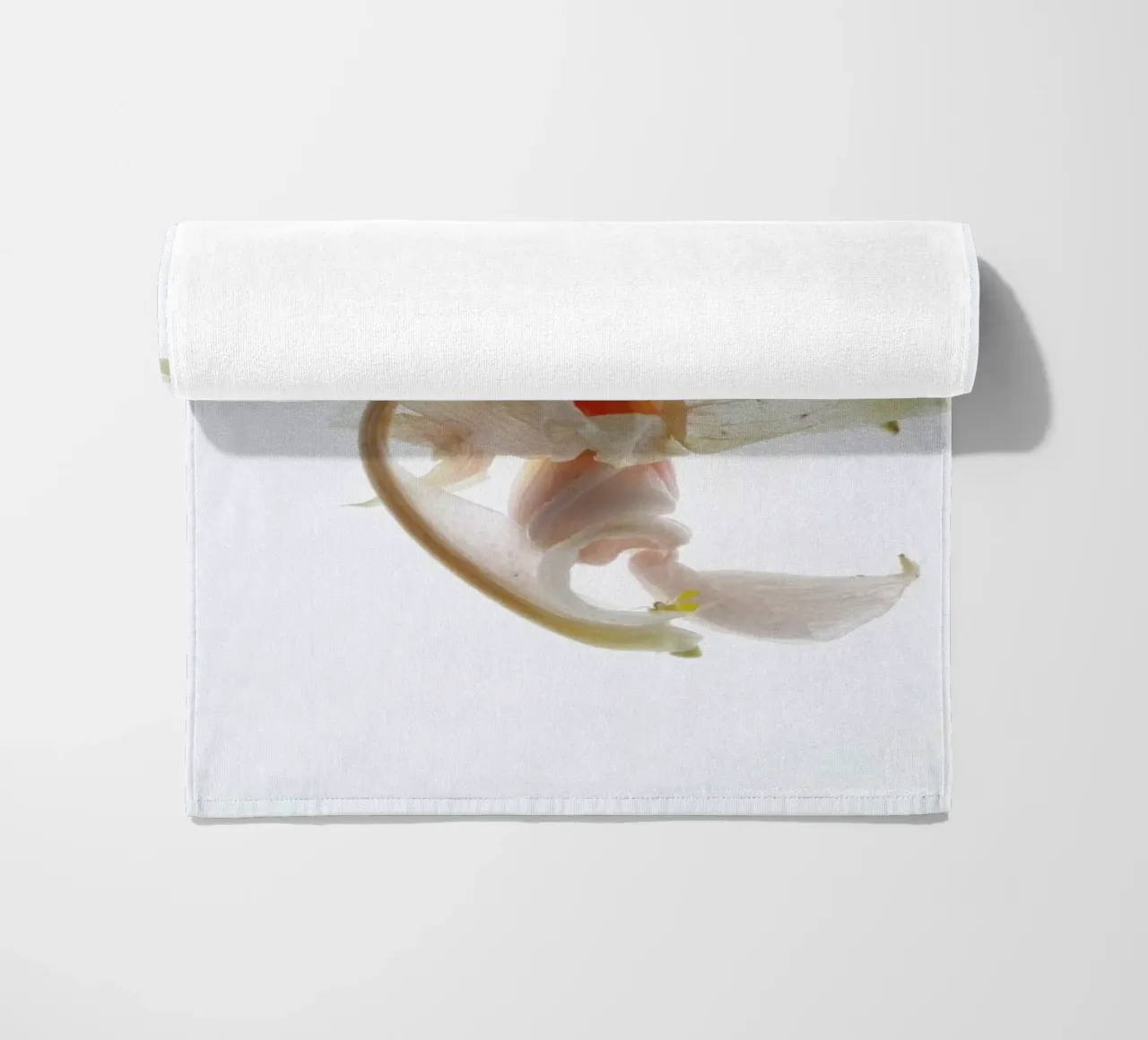 Arch Angle 2 telo mare da Shot By Clint