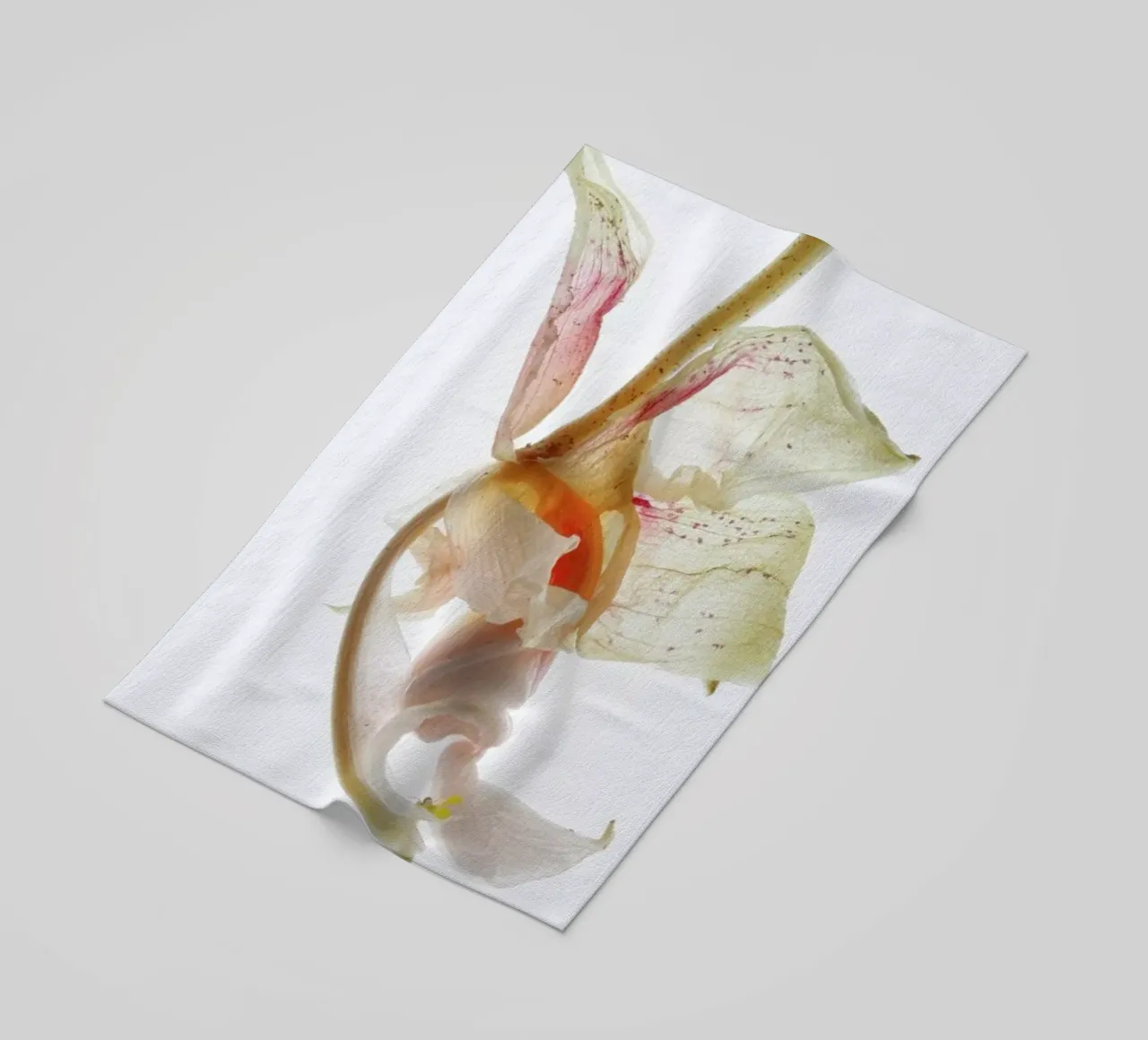 Arch Angle 2 telo mare da Shot By Clint