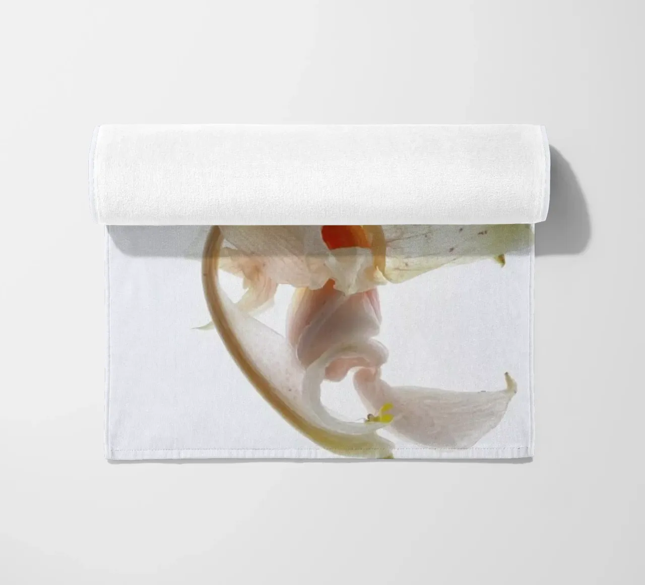 Arch Angle 2 telo mare da Shot By Clint