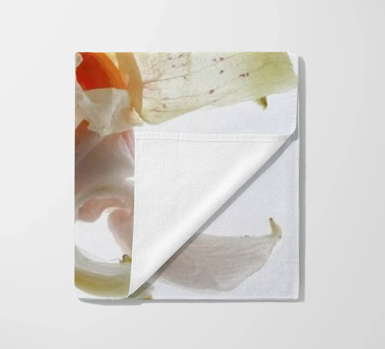 Arch Angle 2 telo mare da Shot By Clint