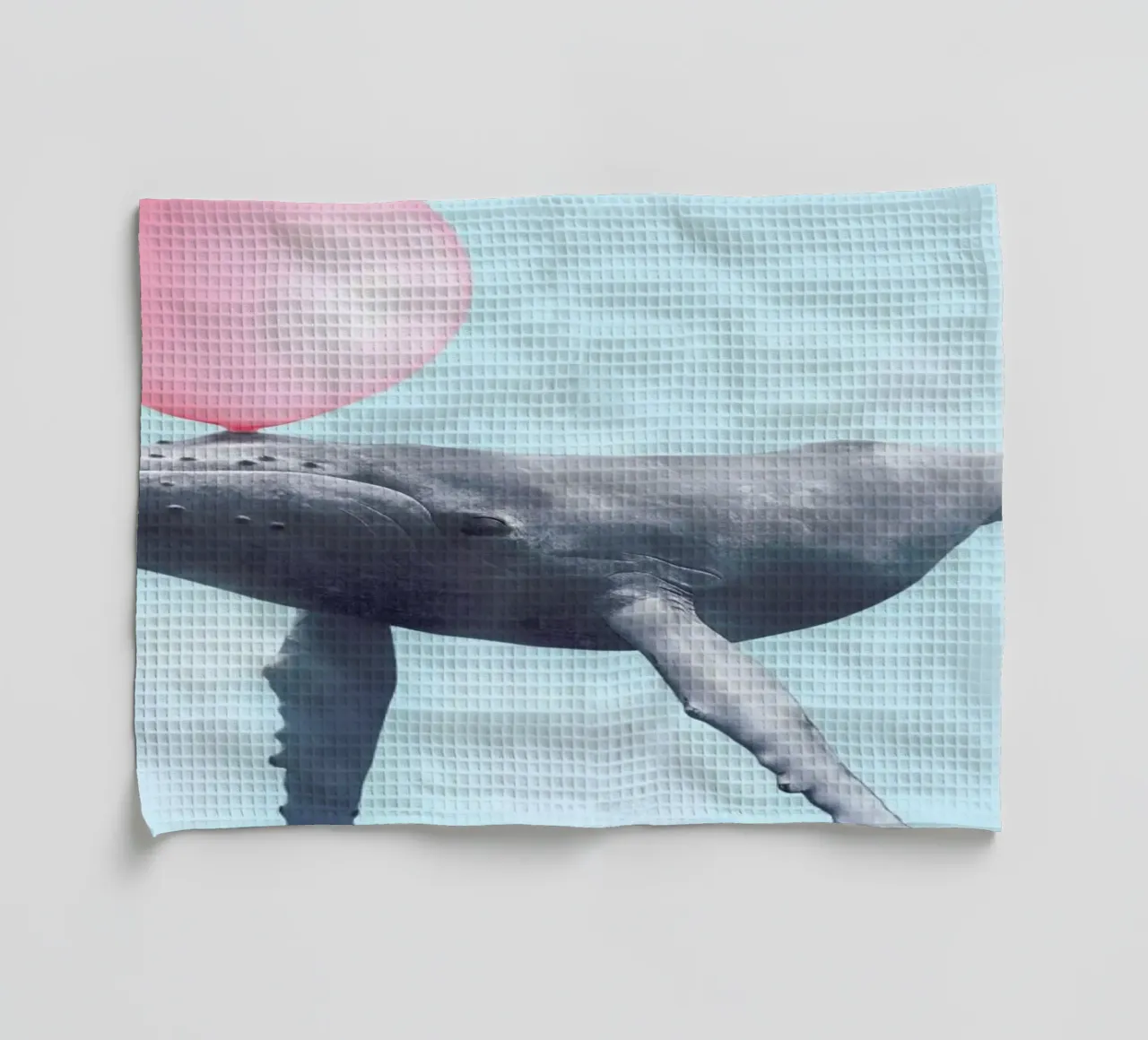 Bubblegum Whale canovaccio da cucina da Paul Fuentes Design