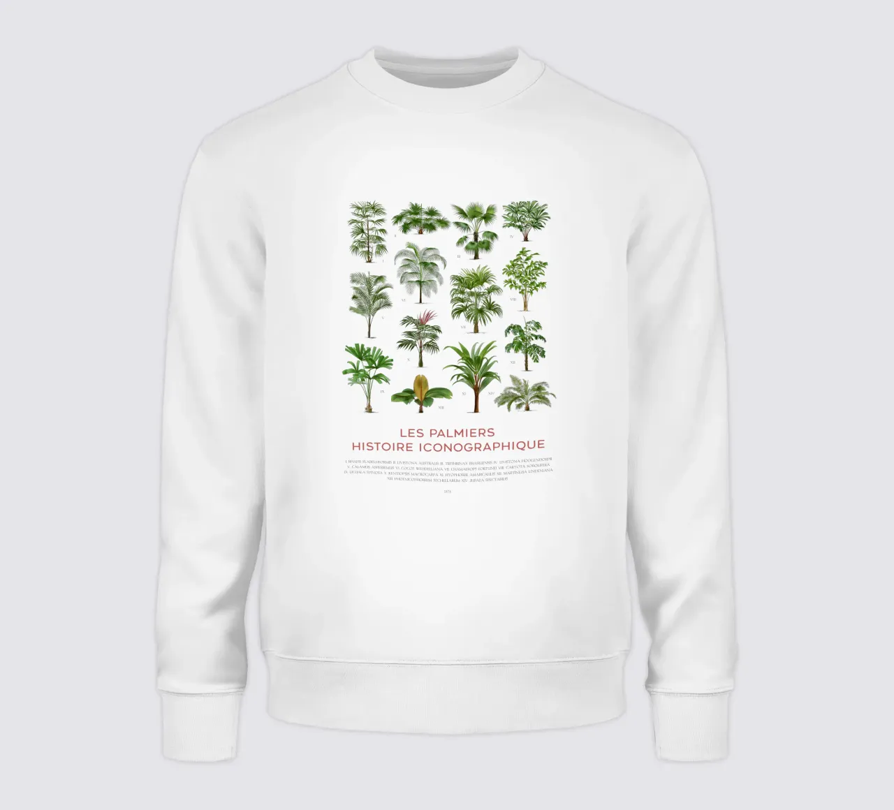 Grafico dei tipi di palme felpa da Vintagrafica