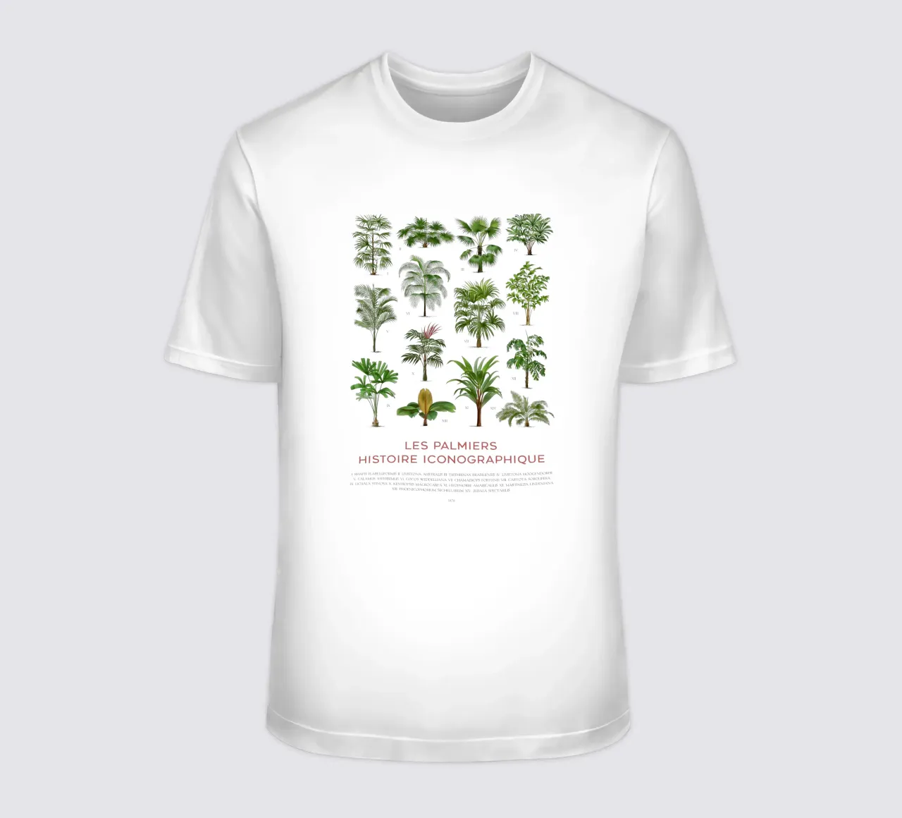 Grafico dei tipi di palme t-shirt da Vintagrafica