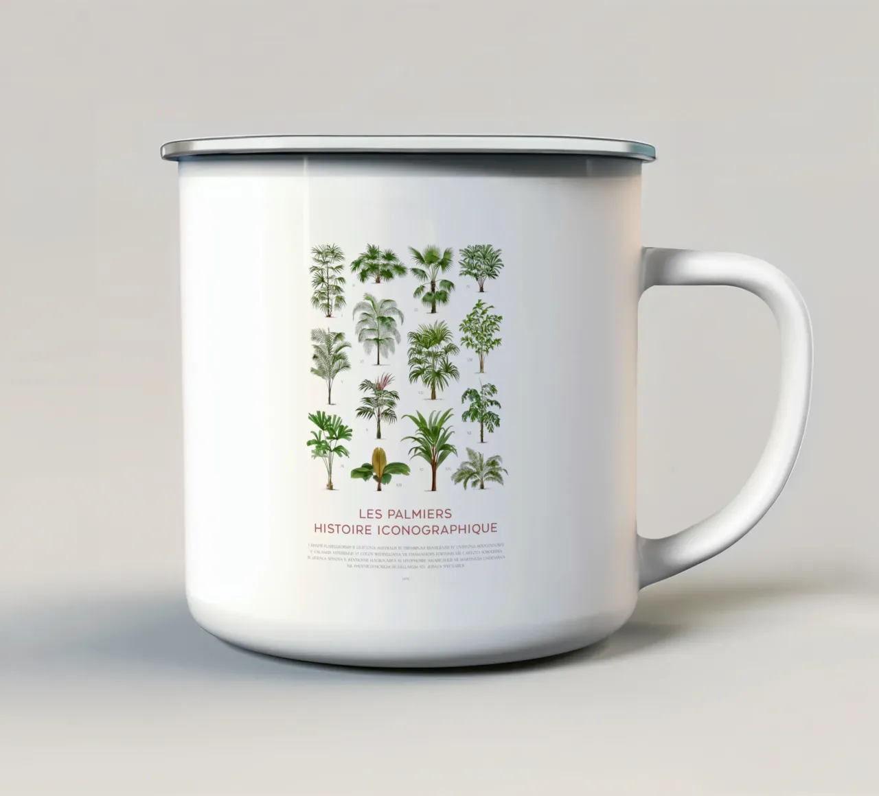 Grafico dei tipi di palme tazza in smalto da Vintagrafica