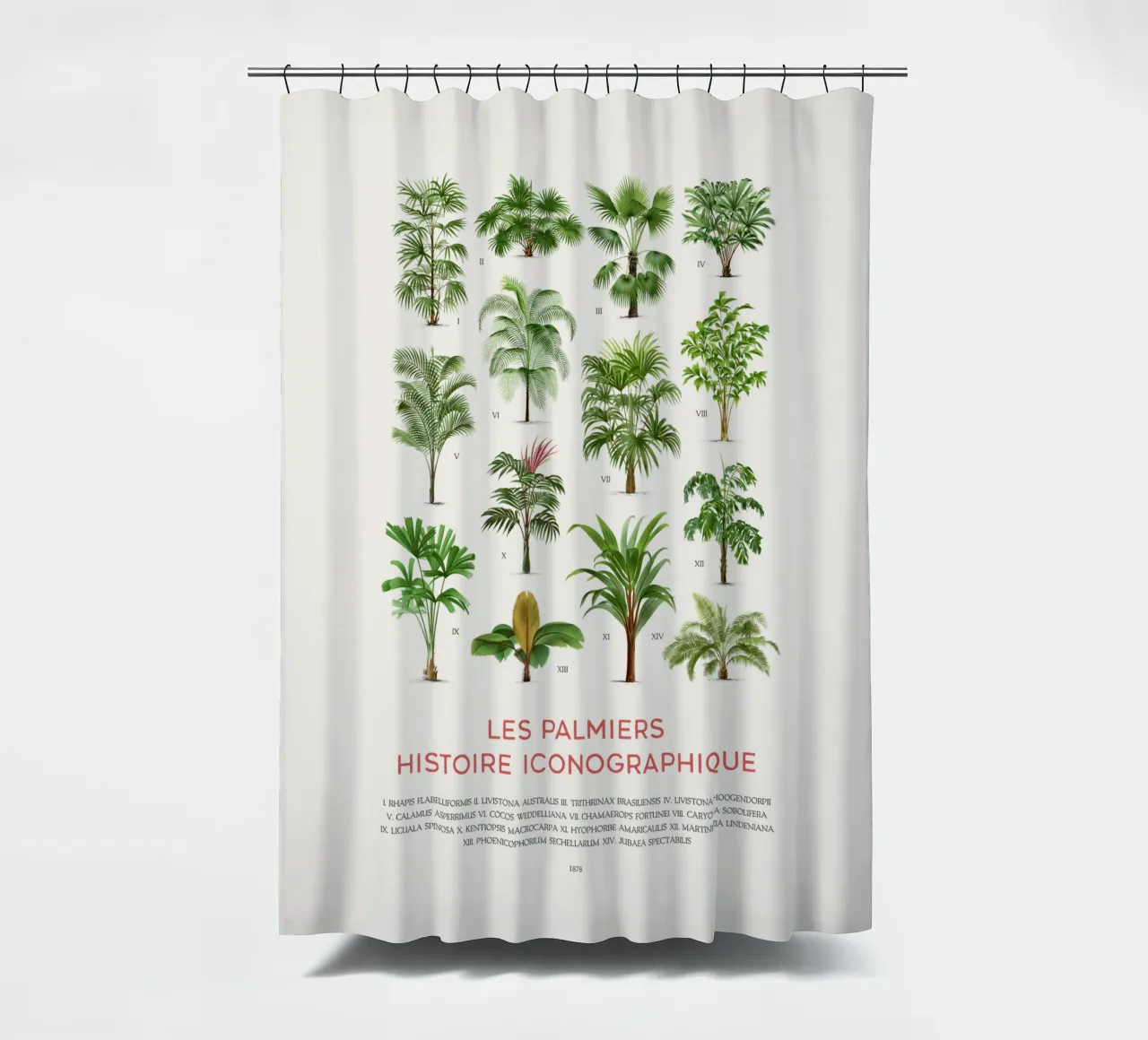 Grafico dei tipi di palme tenda da doccia da Vintagrafica