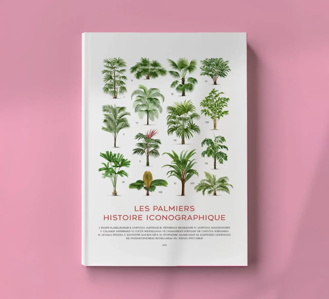 Types of Palm Trees Chart notebook by Vintagrafica