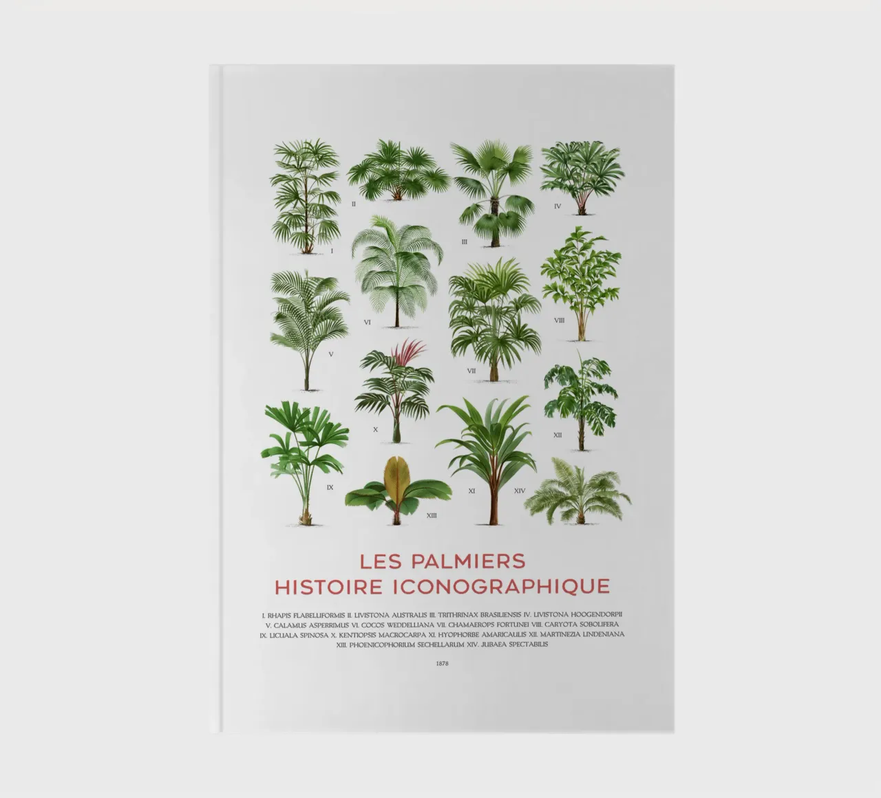 Types of Palm Trees Chart notebook by Vintagrafica