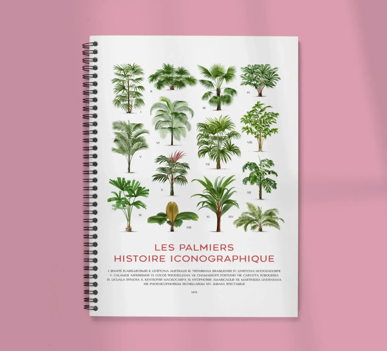 Types of Palm Trees Chart spiral notebook by Vintagrafica